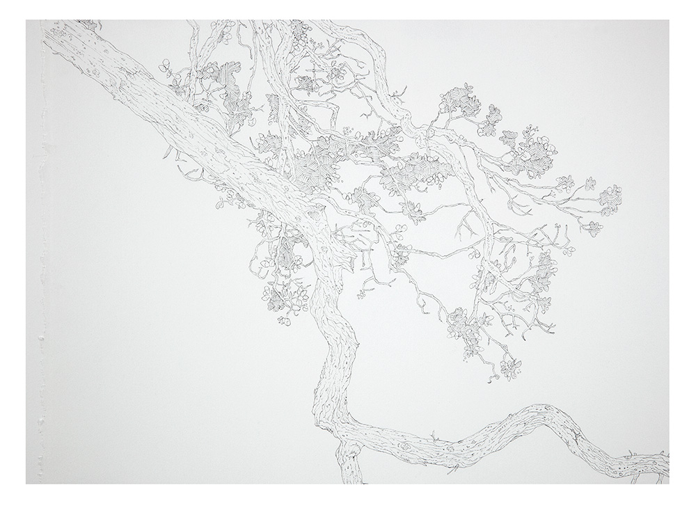 Skyward detail 1