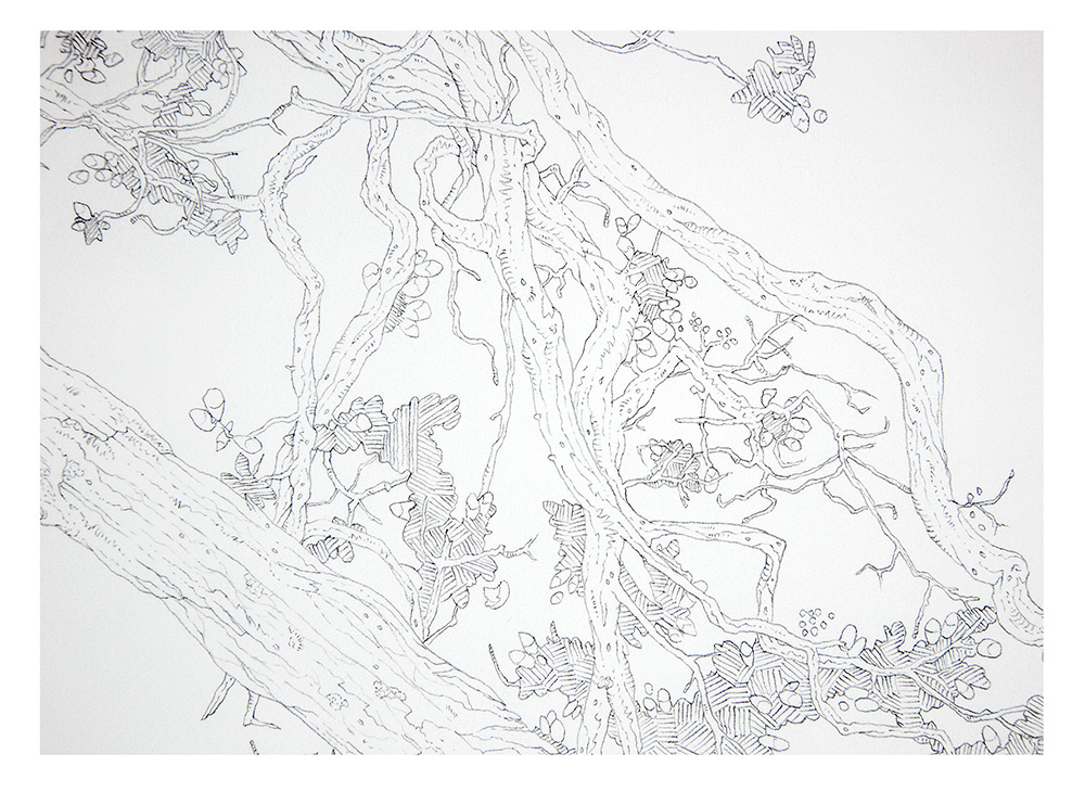 Skyward detail 2