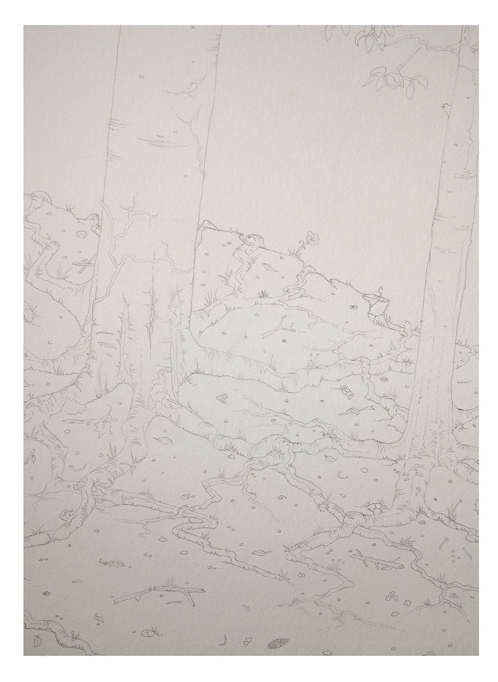 Before detail 2