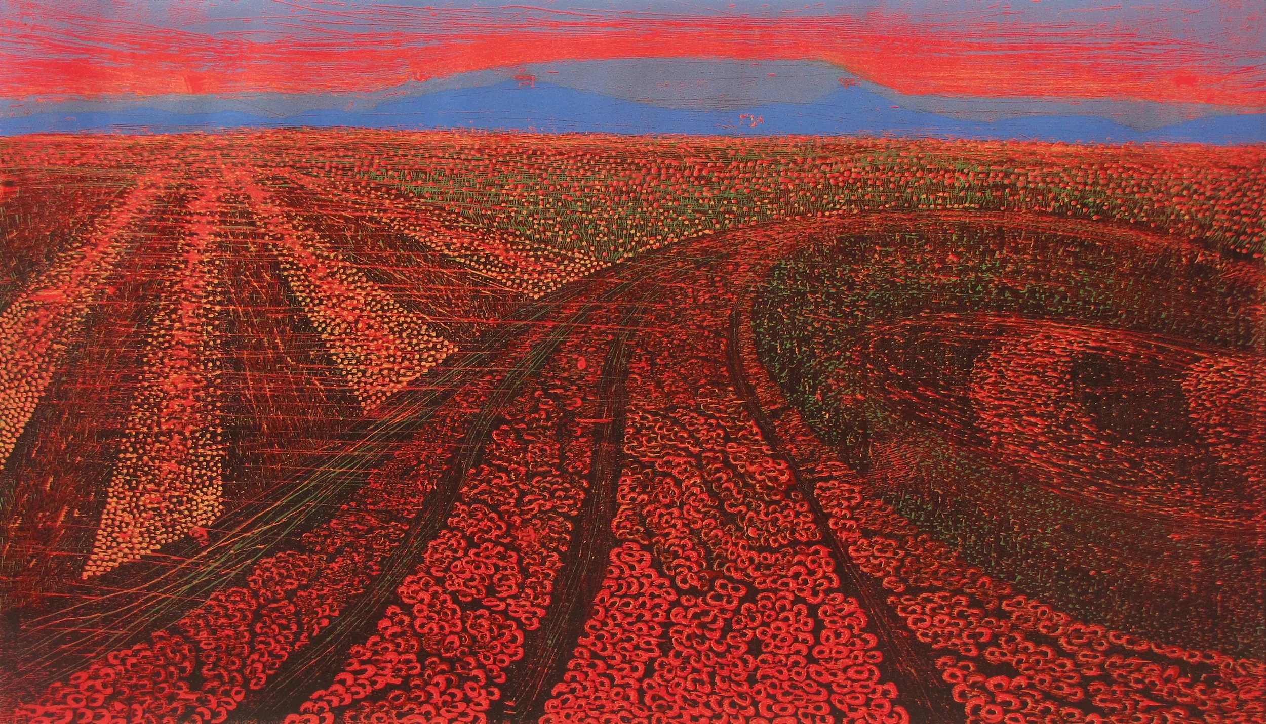 Silent Fields - 4, 2014 Woodcut, edition of 3 27 x 46 in.