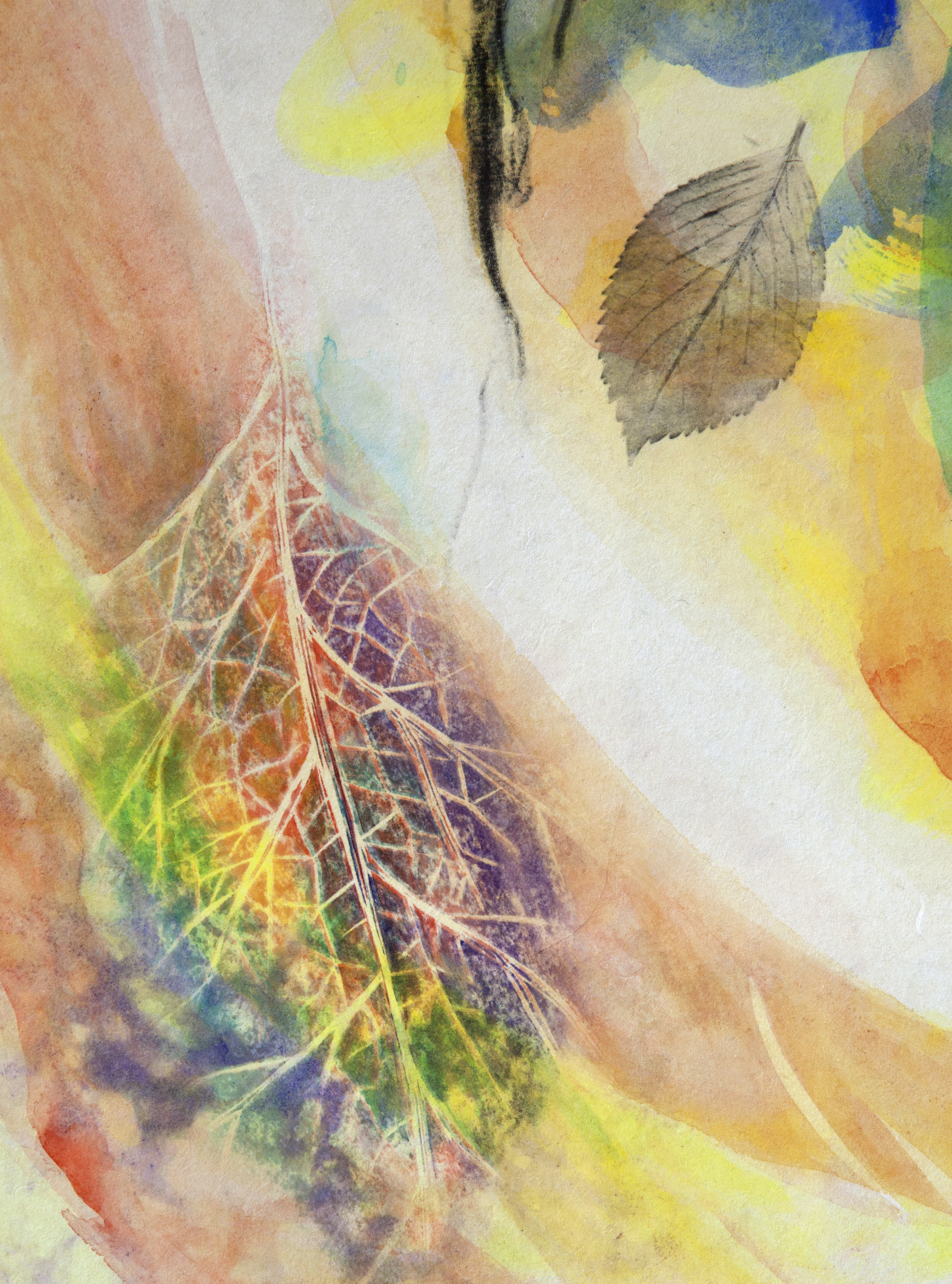 Leaf #1 , 2016 Mixed Media 14 1/2 x 11 1/2 x 1 1/2 in.
