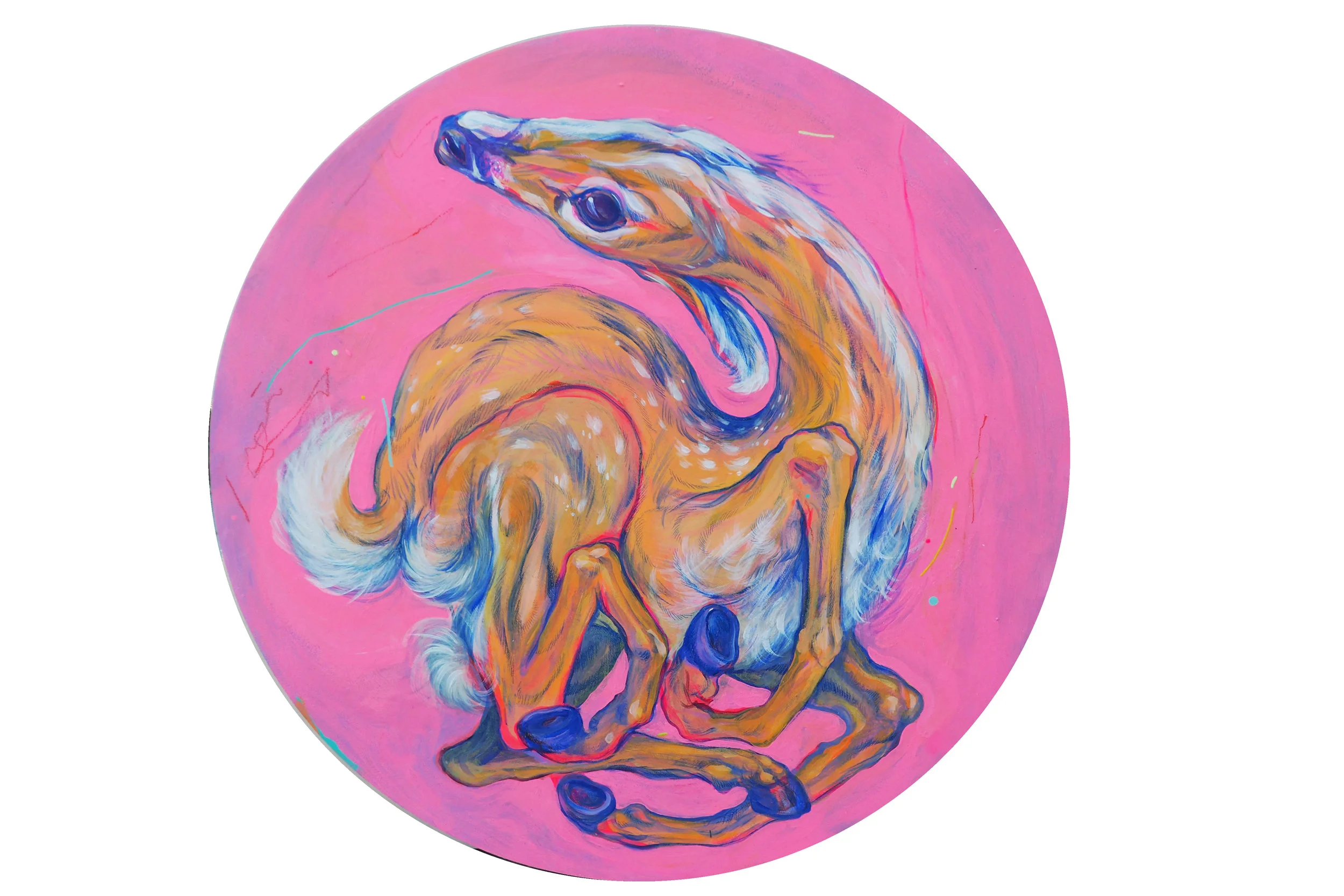 Lightest Dancer , 2016 Acrylic on Panel 24 in. diam.