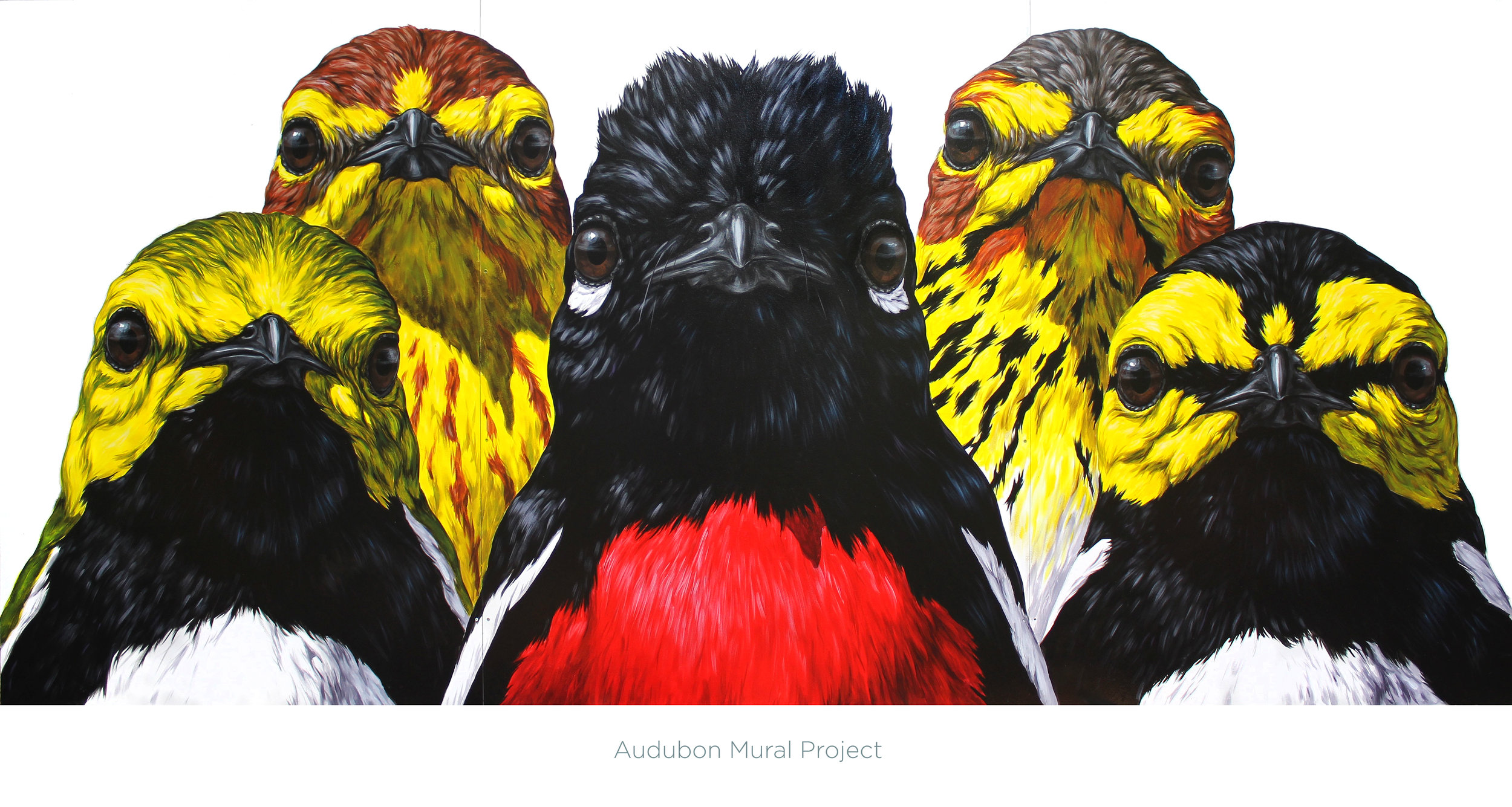 Warbler.Gang.Print.with.text.jpg