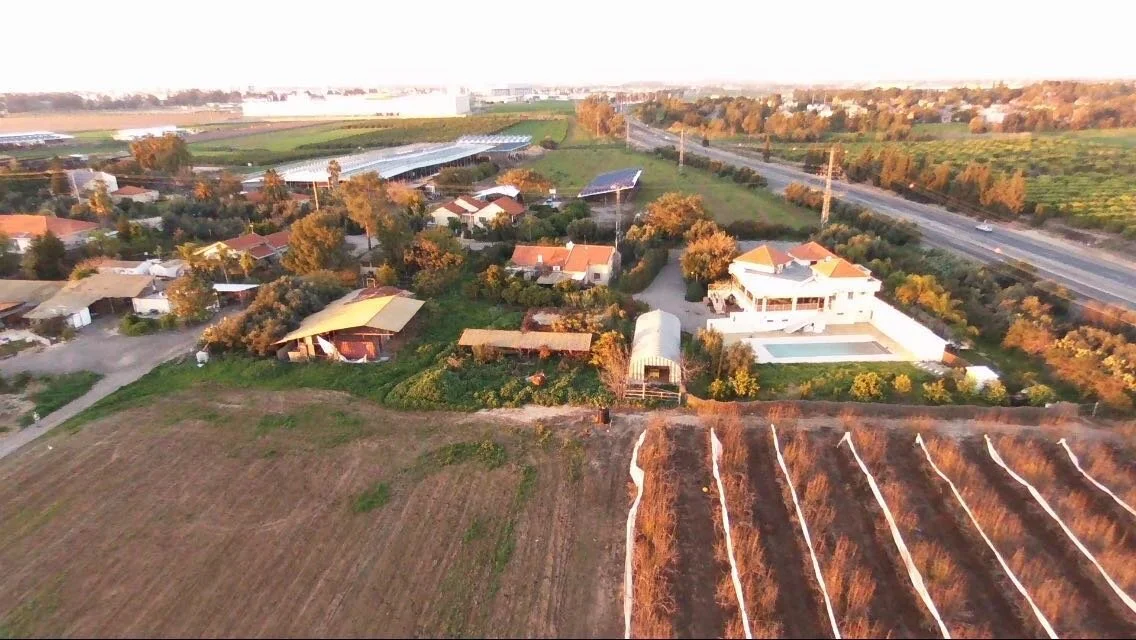 TACHANAT AUTOBUS (Avigdor, Israel)