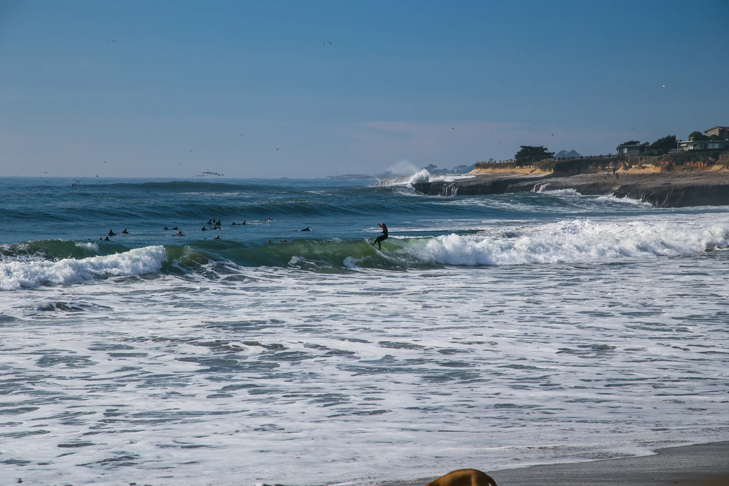 Santa Cruz and Surfing-11.jpg