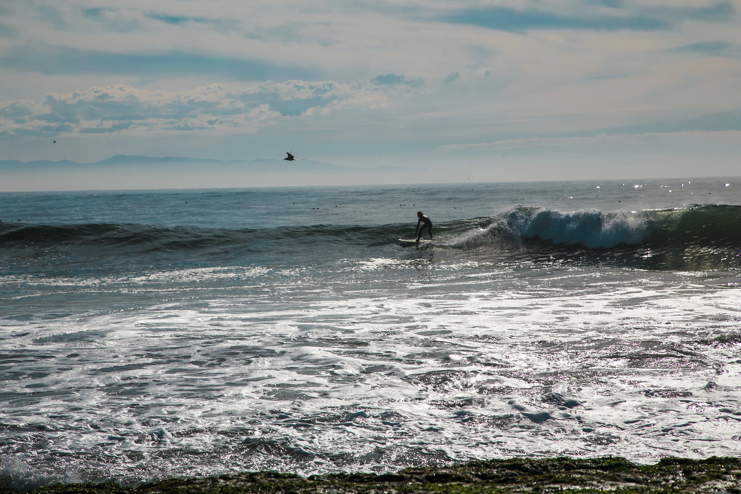 Santa Cruz and Surfing-20.jpg