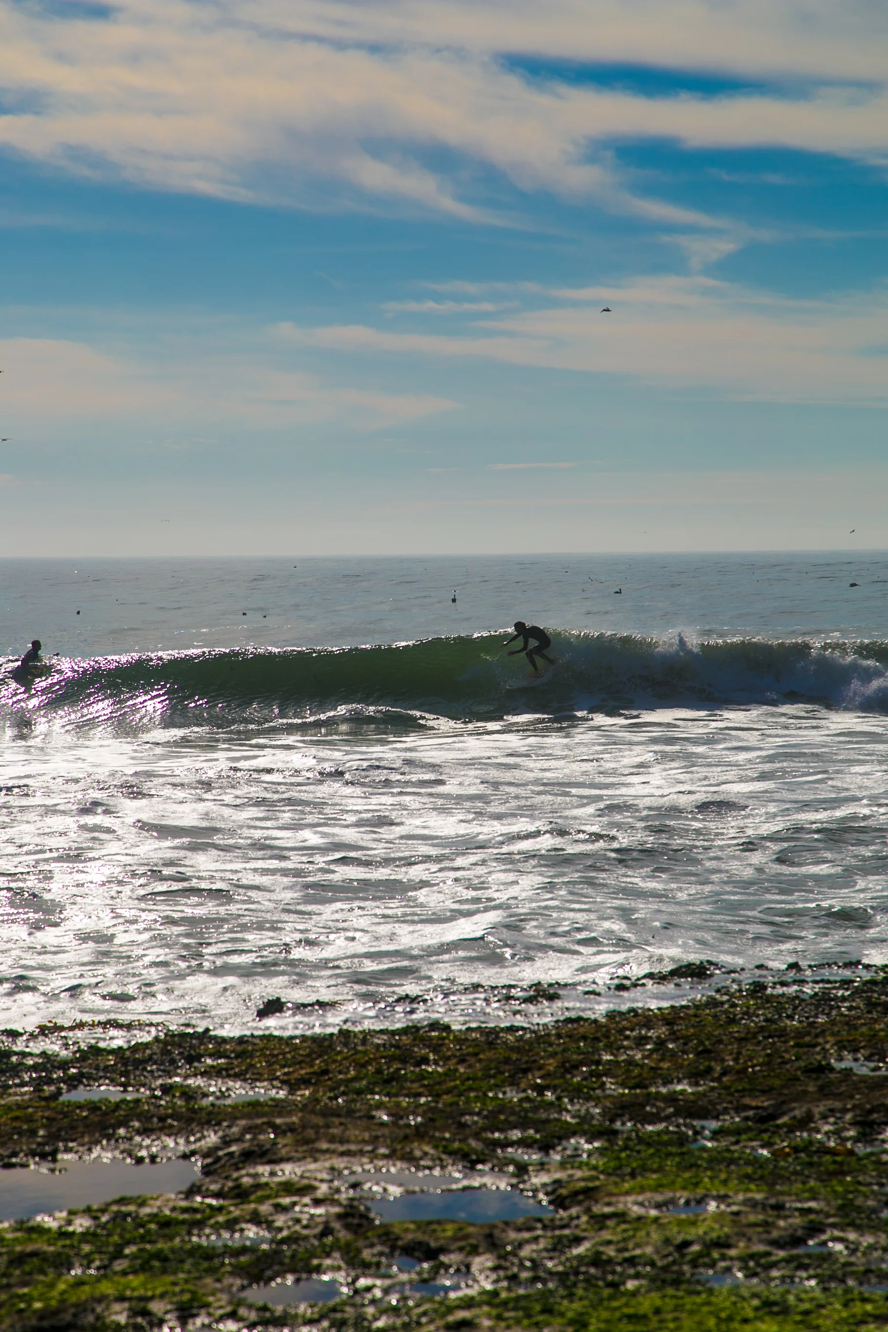 Santa Cruz and Surfing-25.jpg