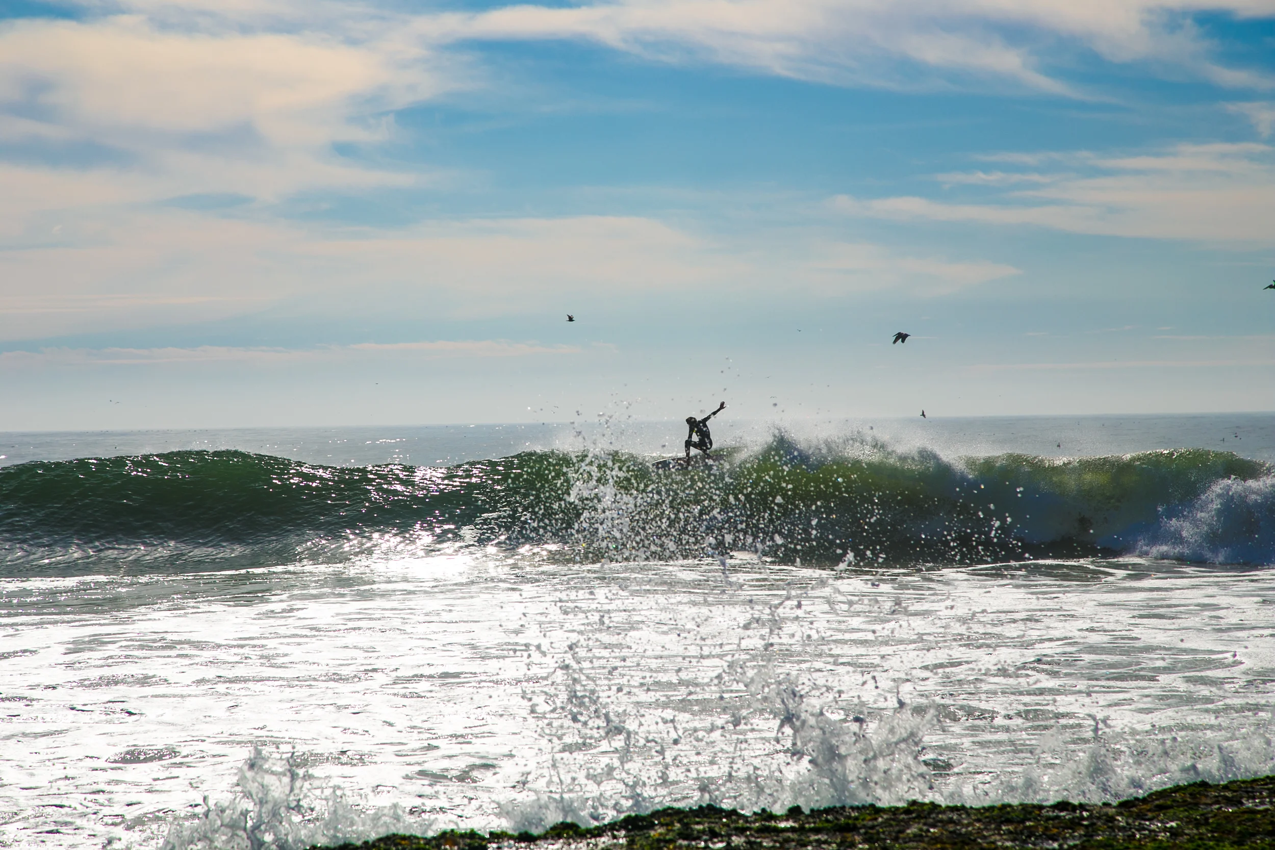 Santa Cruz and Surfing-33.jpg