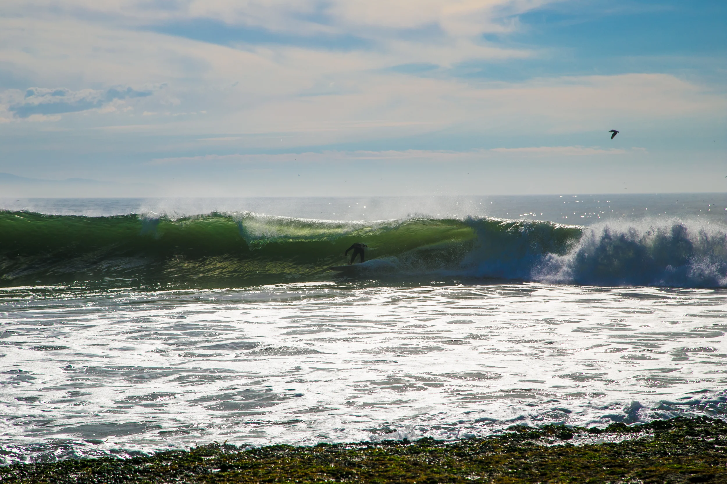 Santa Cruz and Surfing-35.jpg