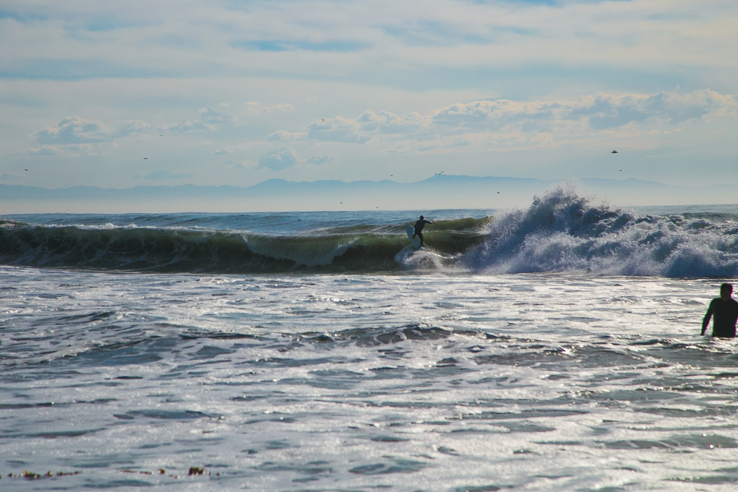 Santa Cruz and Surfing-41.jpg