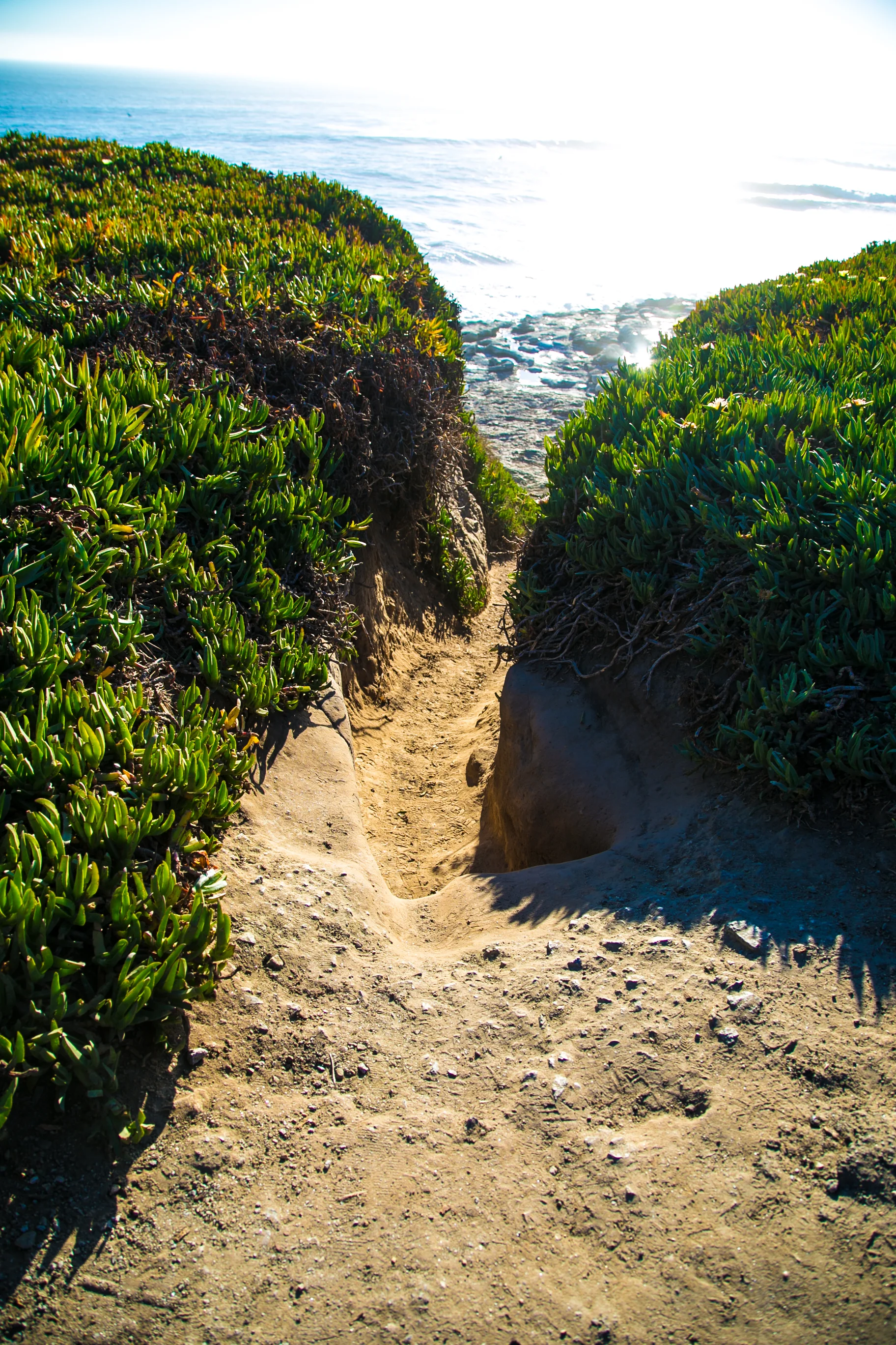 Santa Cruz and Surfing-1.jpg