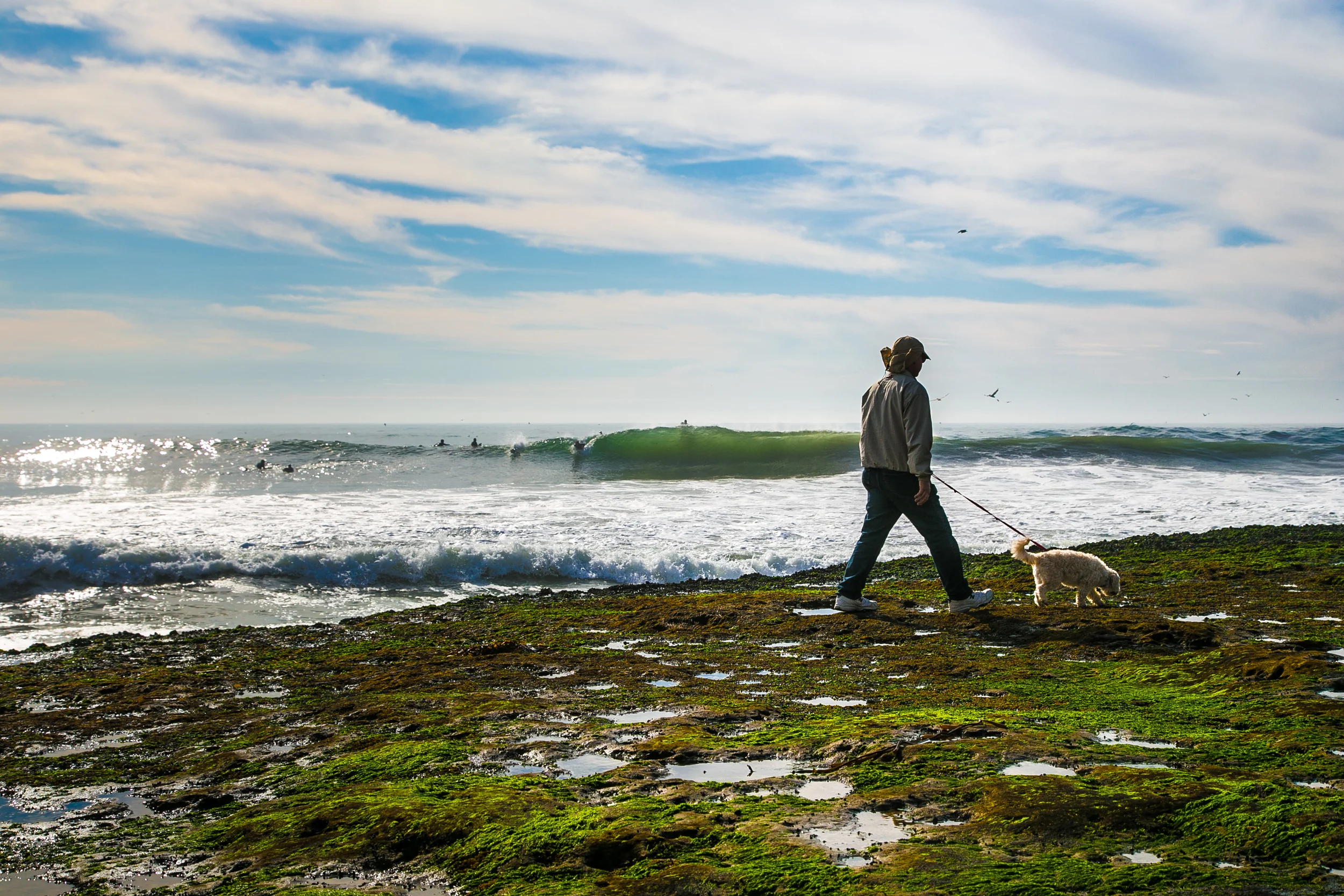 Santa Cruz and Surfing-30.jpg