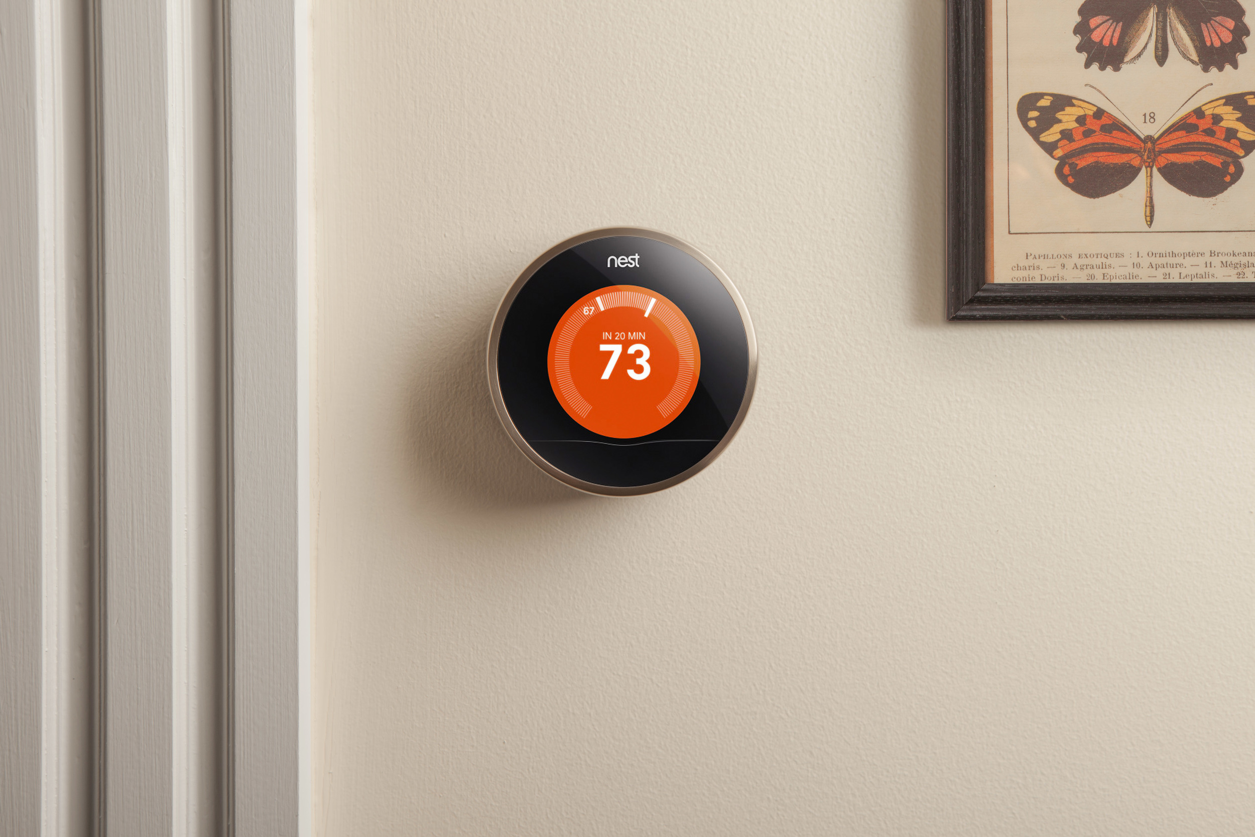 WINK_NEST-THERMOSTAT_LS_9412.jpg