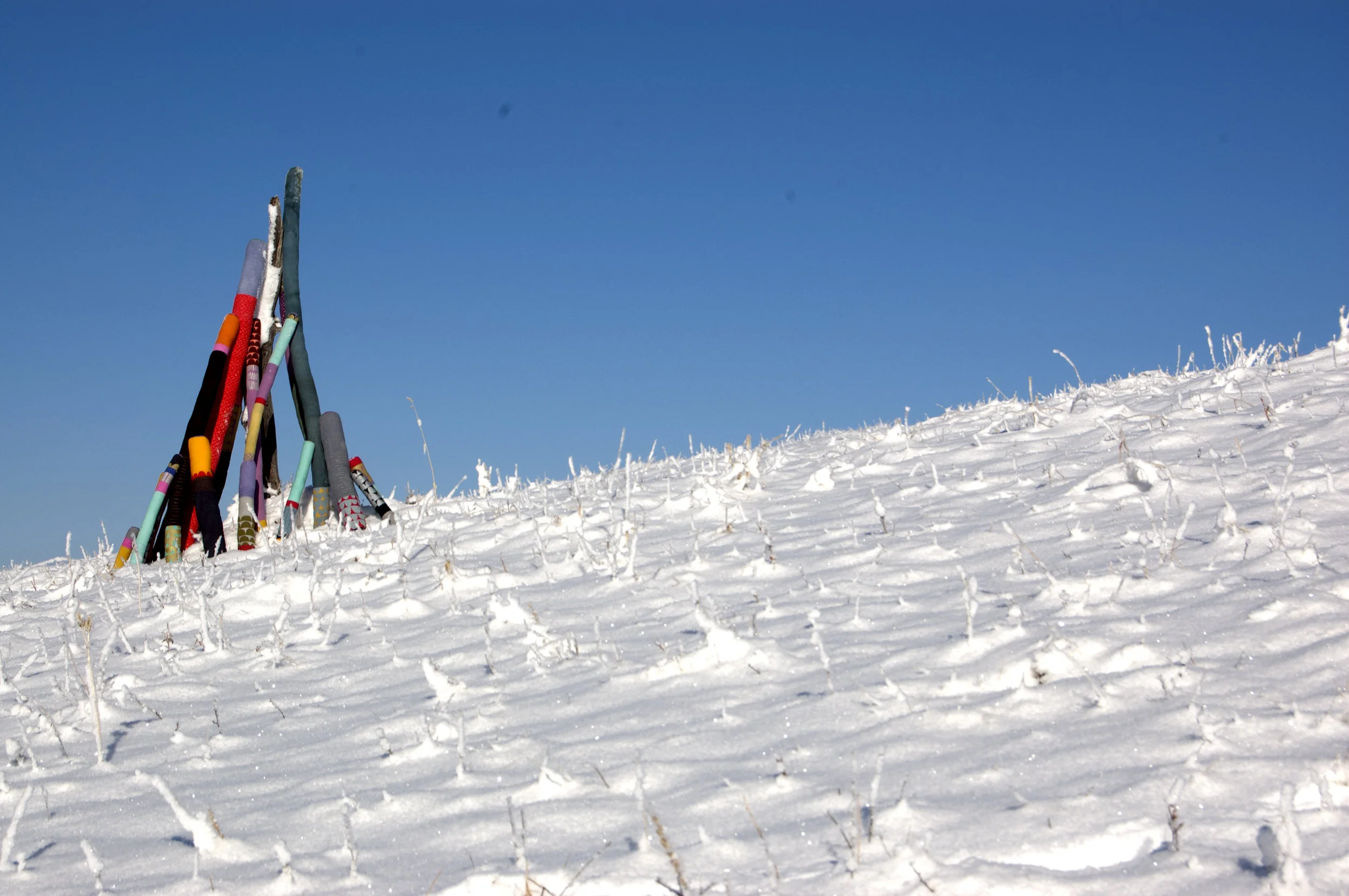 DSC_1403.jpg