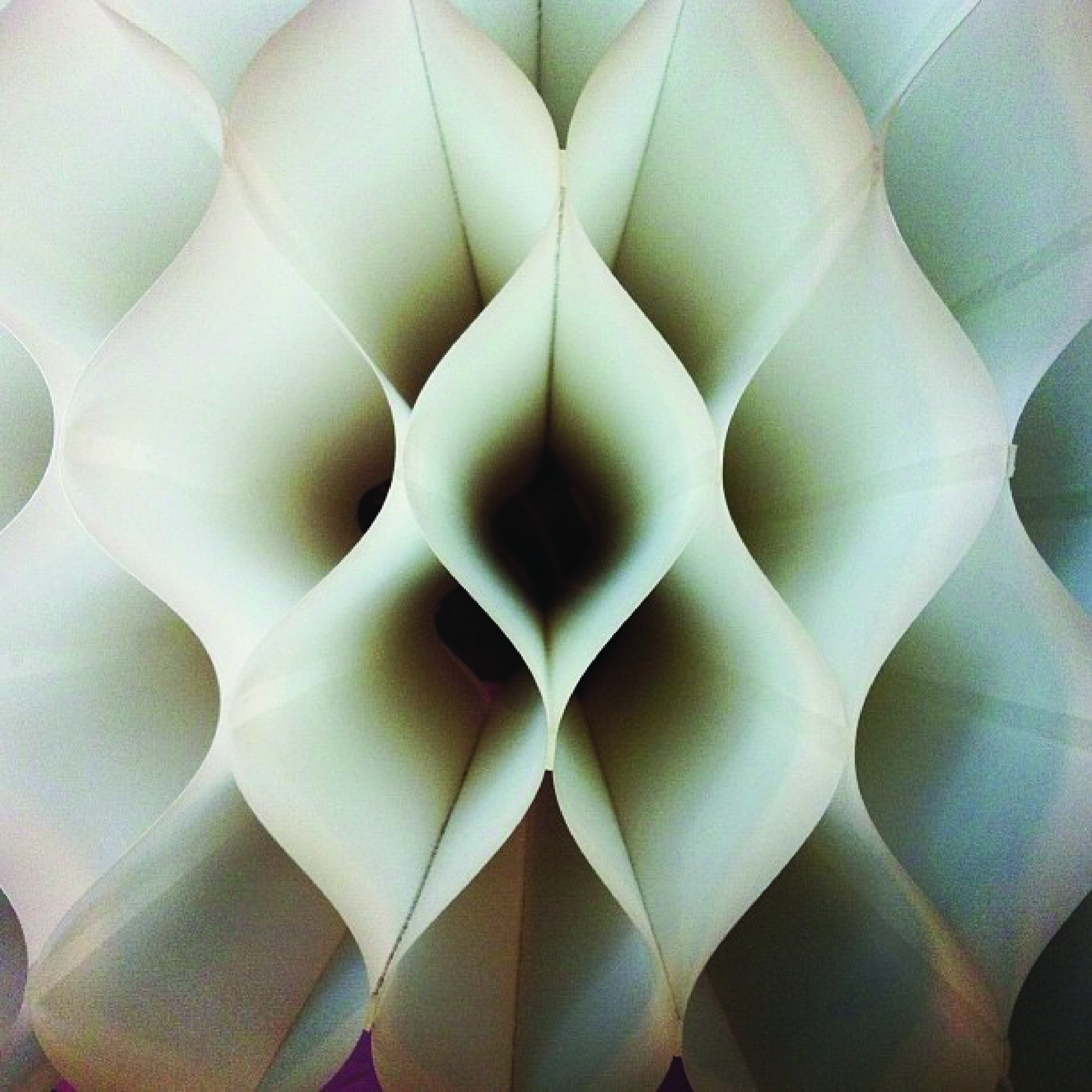 expanders01.jpg