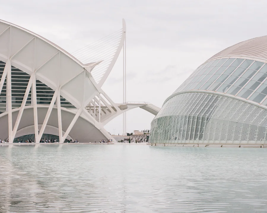 Ciudad de las Artes y las Ciencias (City of Arts and Sciences)