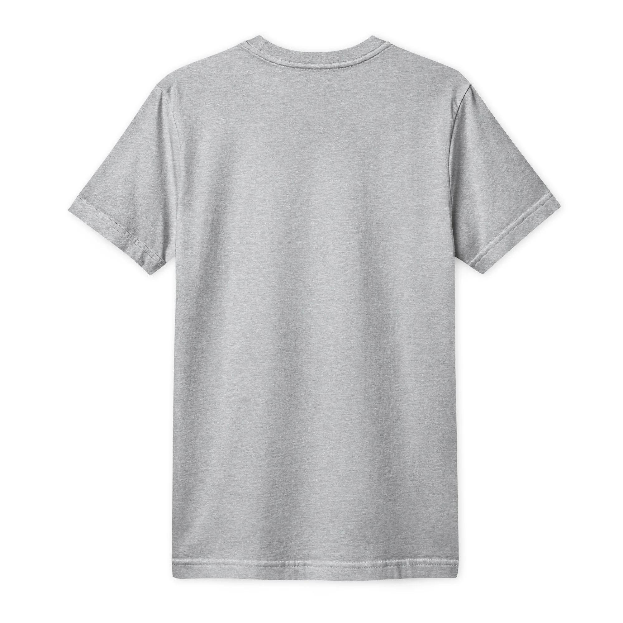 unisex-fine-jersey-t-shirt-heather-grey-back-6ab1935bc5713.jpg