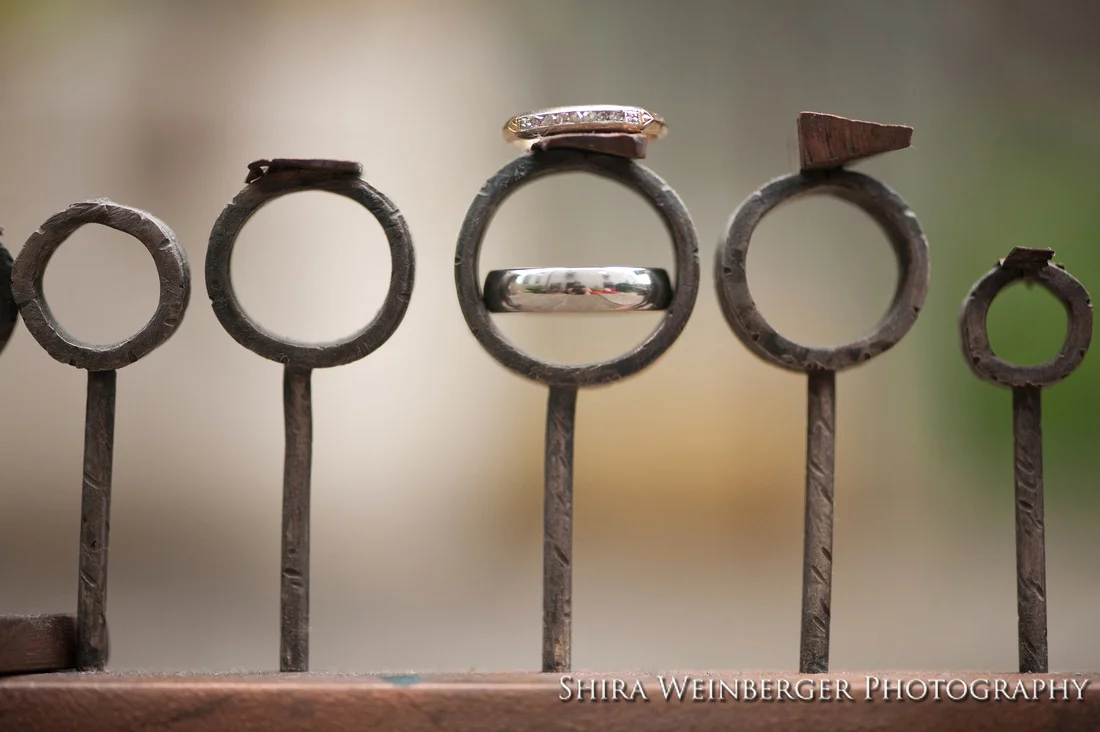 Shira Weinberger Photography Xylem & Phloem Alicia & Joel_26.jpg