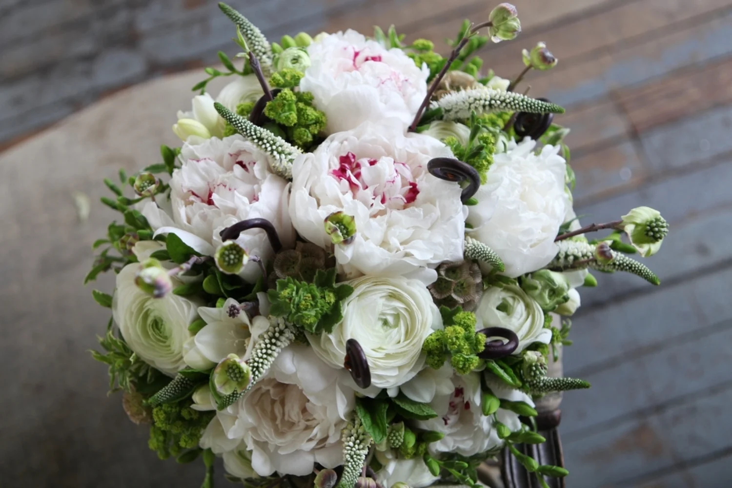 Shira Weinberger Photography Xylem & Phloem Alicia & Joel_100.jpg