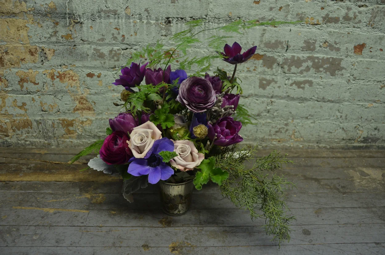 Xylem & Phloem 2015-02-28_26.JPG