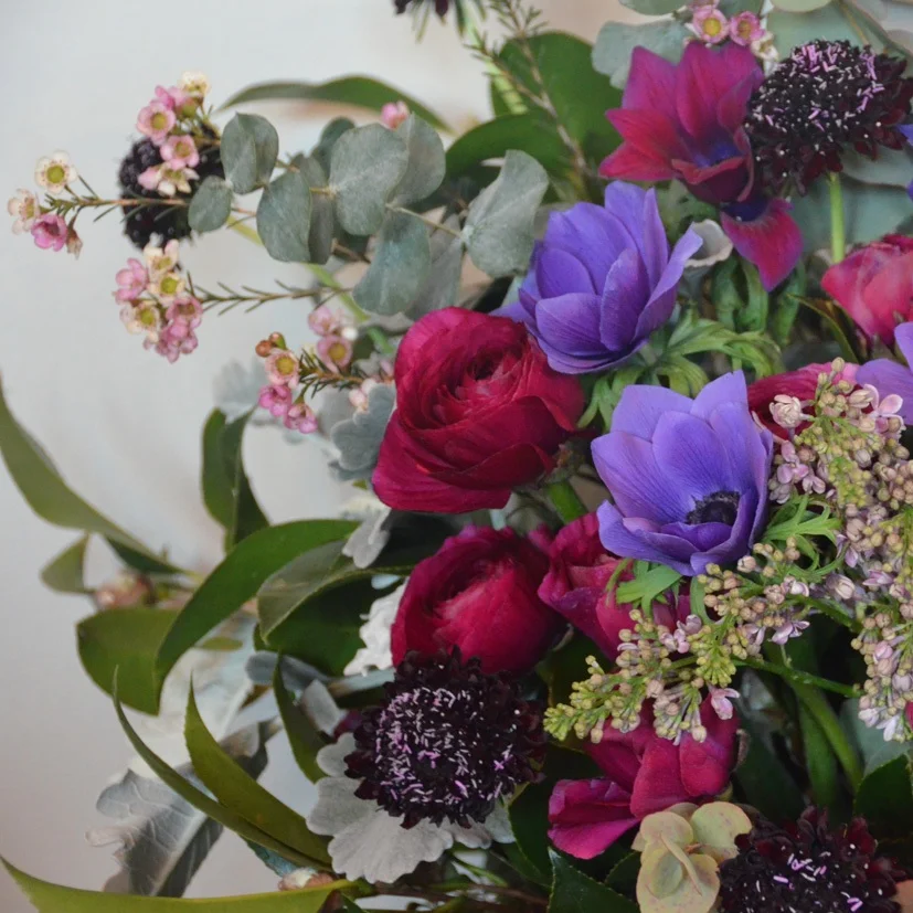 Xylem & Phloem 2015-02-28_50.JPG