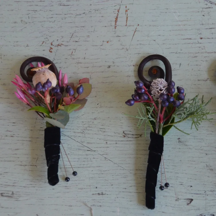 Xylem & Phloem 2015-02-28_4.JPG