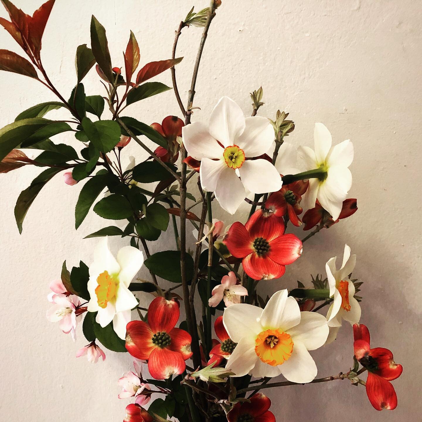 #Spring blooms foraged on solitary walks ... moments of beauty on quiet wanderings #foragedflowers #springflowers #aquietstyle #gatherandcurate #simplepleasures #abeautifullife #flowersforfriends