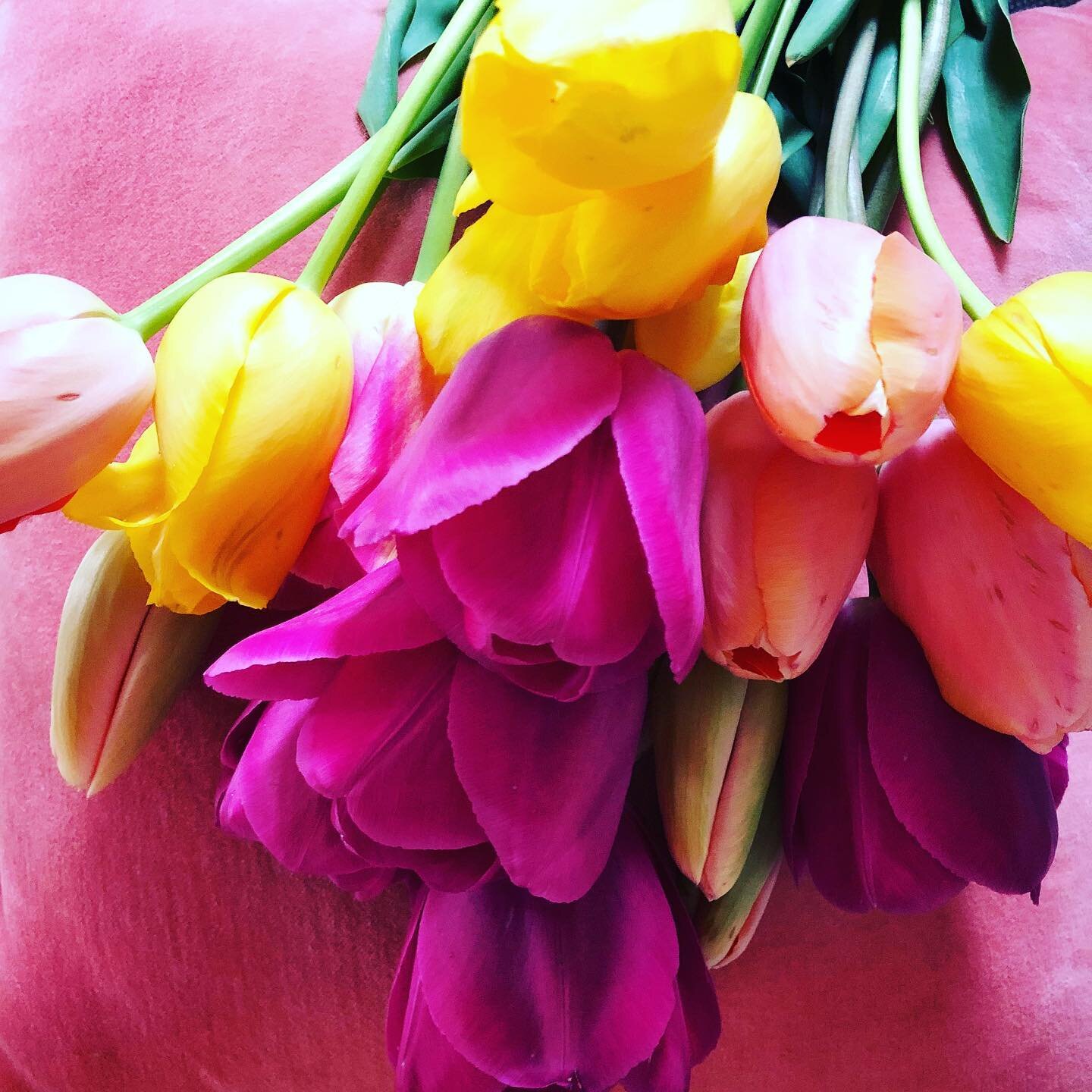 Thank goodness for flower friends! The wonderful @tinktastichana dropped off these beeeeeaaautiful fresh vibrant garden #tulips  to brighten our day! Gratitude for special friends, spring flowers, abundant gifts and kindred flower spirits 💕🌸🌱