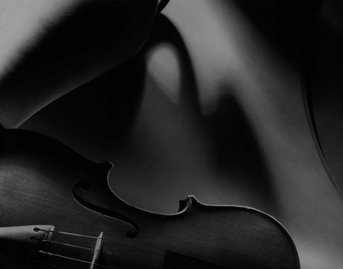 Violin Vase Shadow-1.jpg
