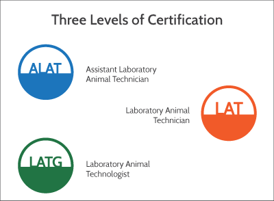 certification-levels.png
