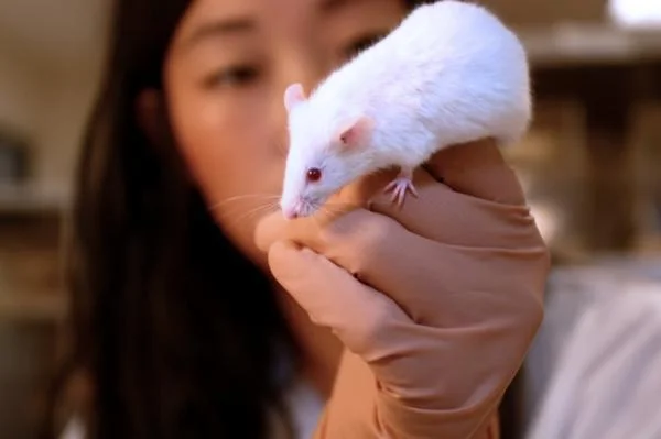 mouseglove.jpg