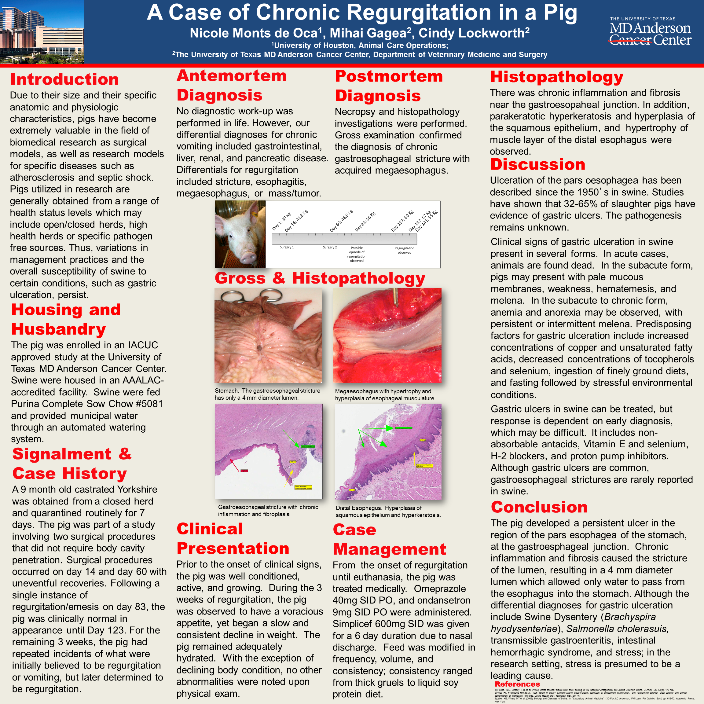 Poster.-A-Case-of-Chronic-Regurgitation-in-a-Pig.png