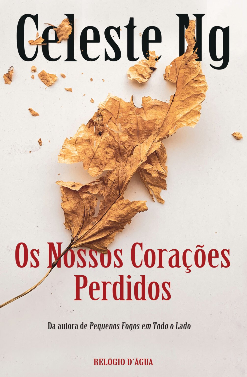 Os Nossos Corações Perdidos (Portugal)