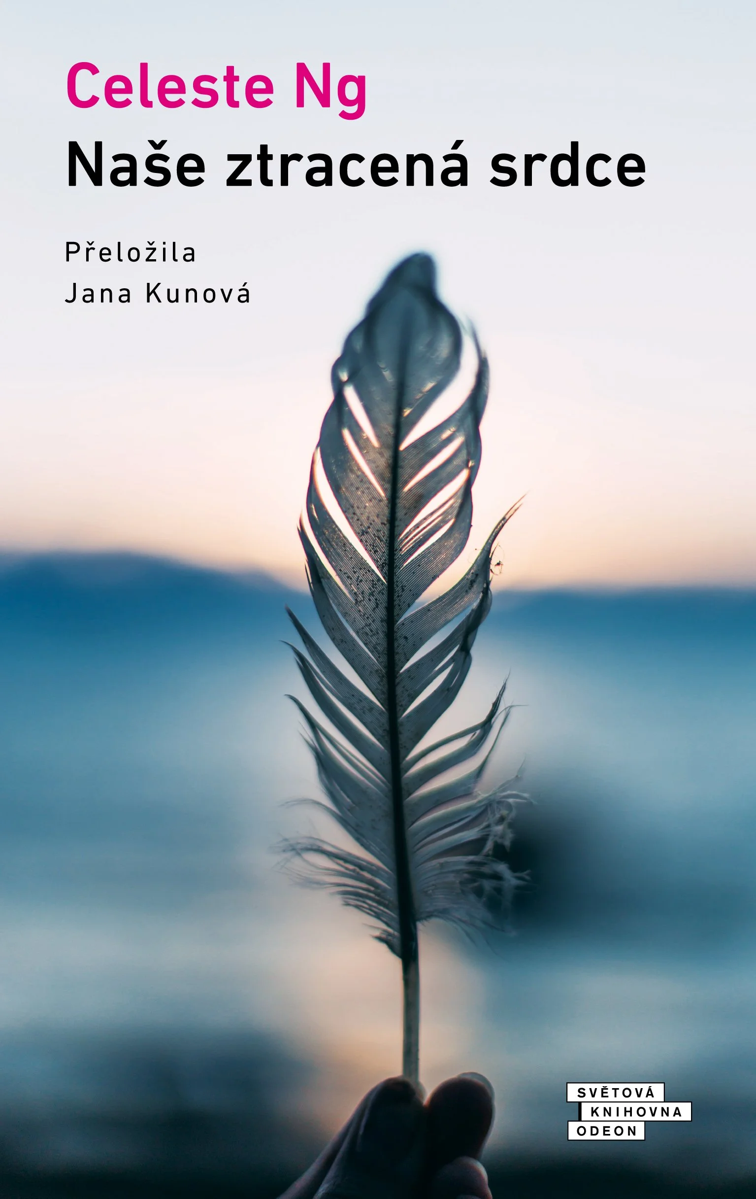 Naše ztracená srdce (Czech)