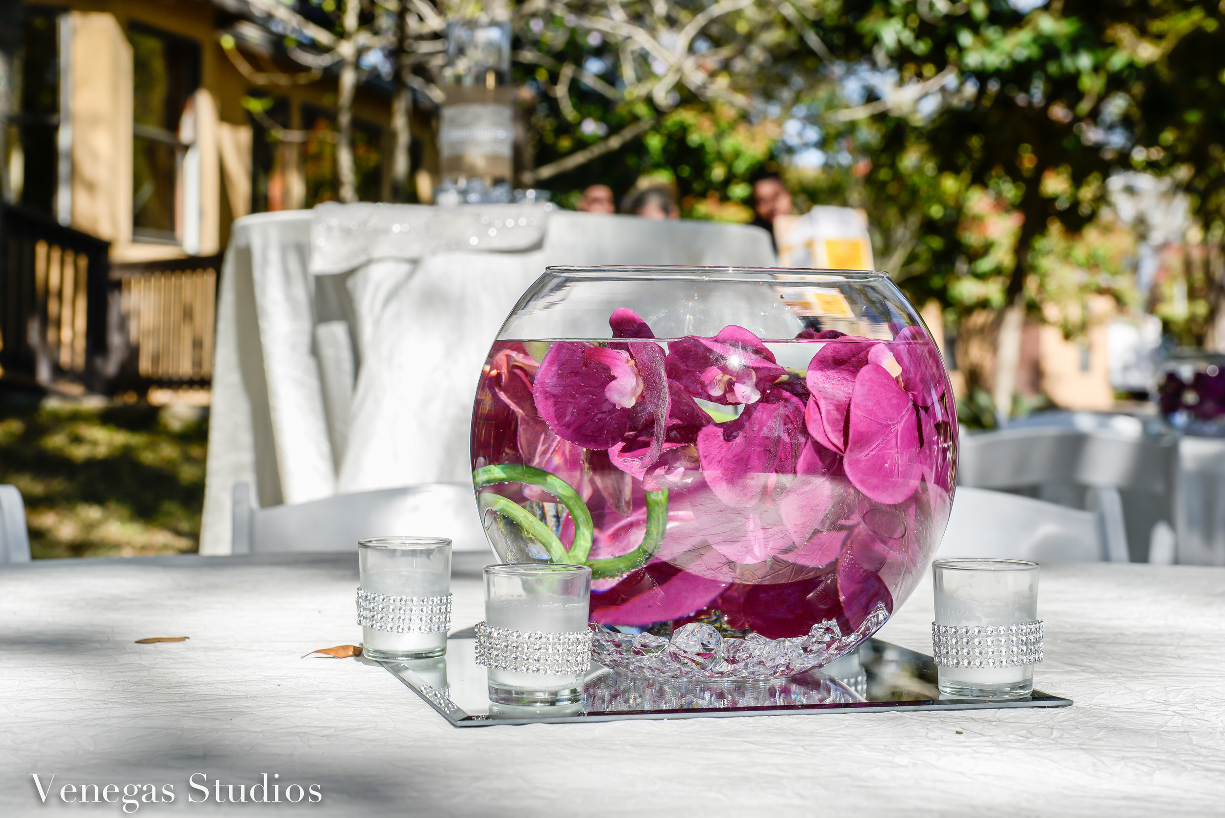 2015-03-28-untitled shoot-100.jpg
