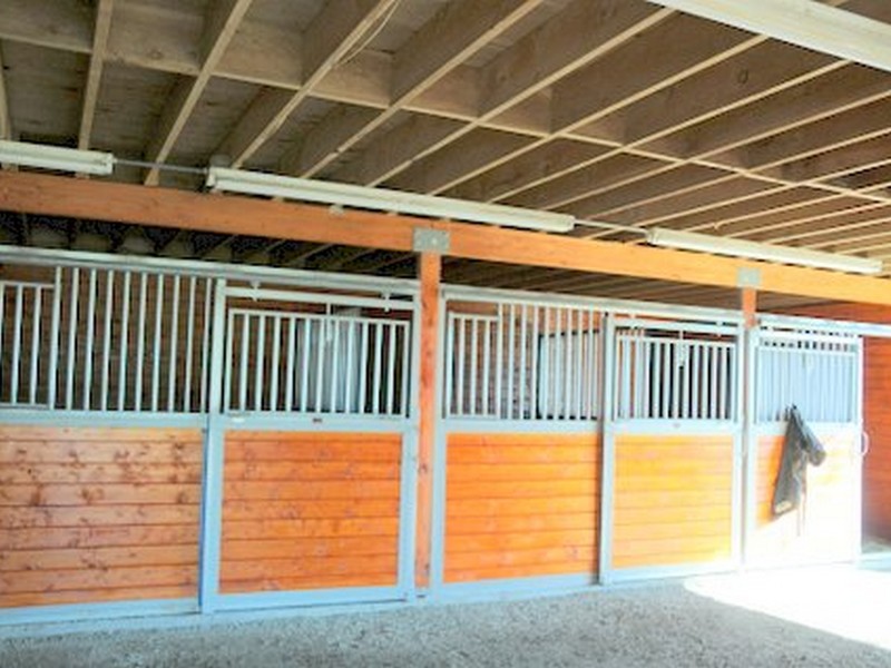 stalls.jpg