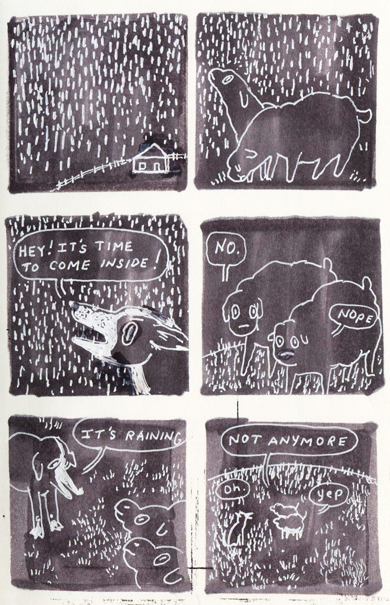 sheep.jpg