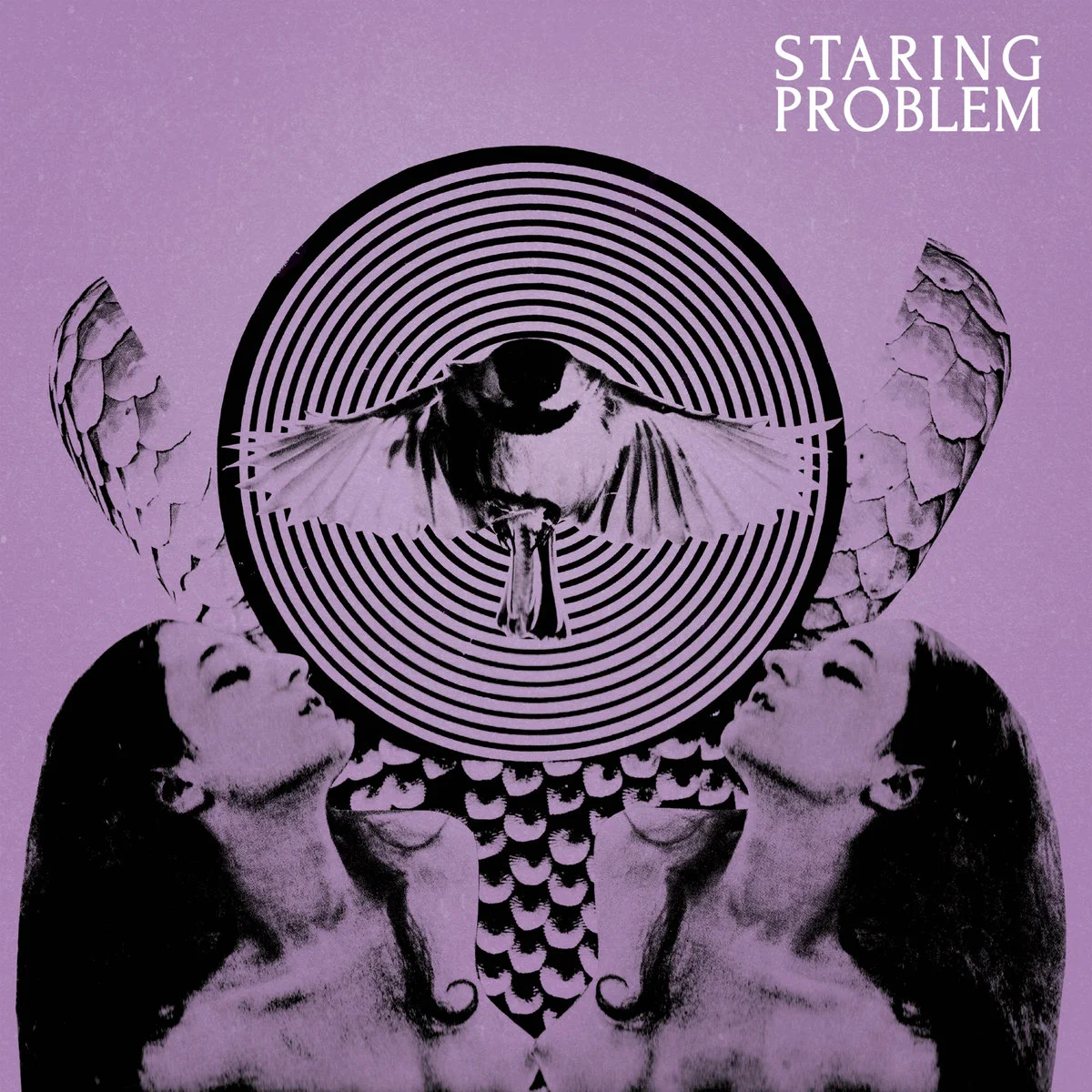 Staring Problem Purple.jpg