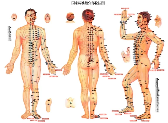 acupuncture.jpg