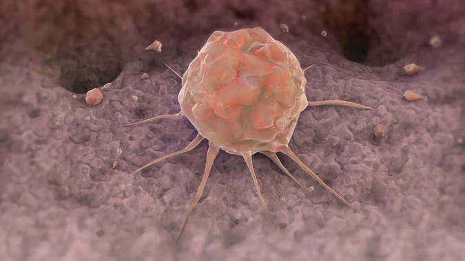 Stem-cell on a bone. Nathan Devery/Science Source