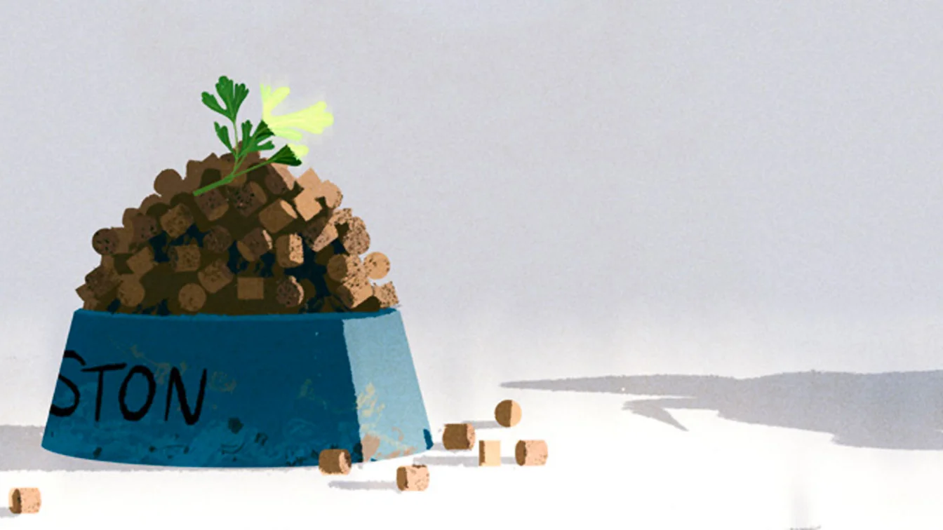 Disney Wins "Big Hero 6 Feast Style" at the 87th. Academy Awards: Part 1. 