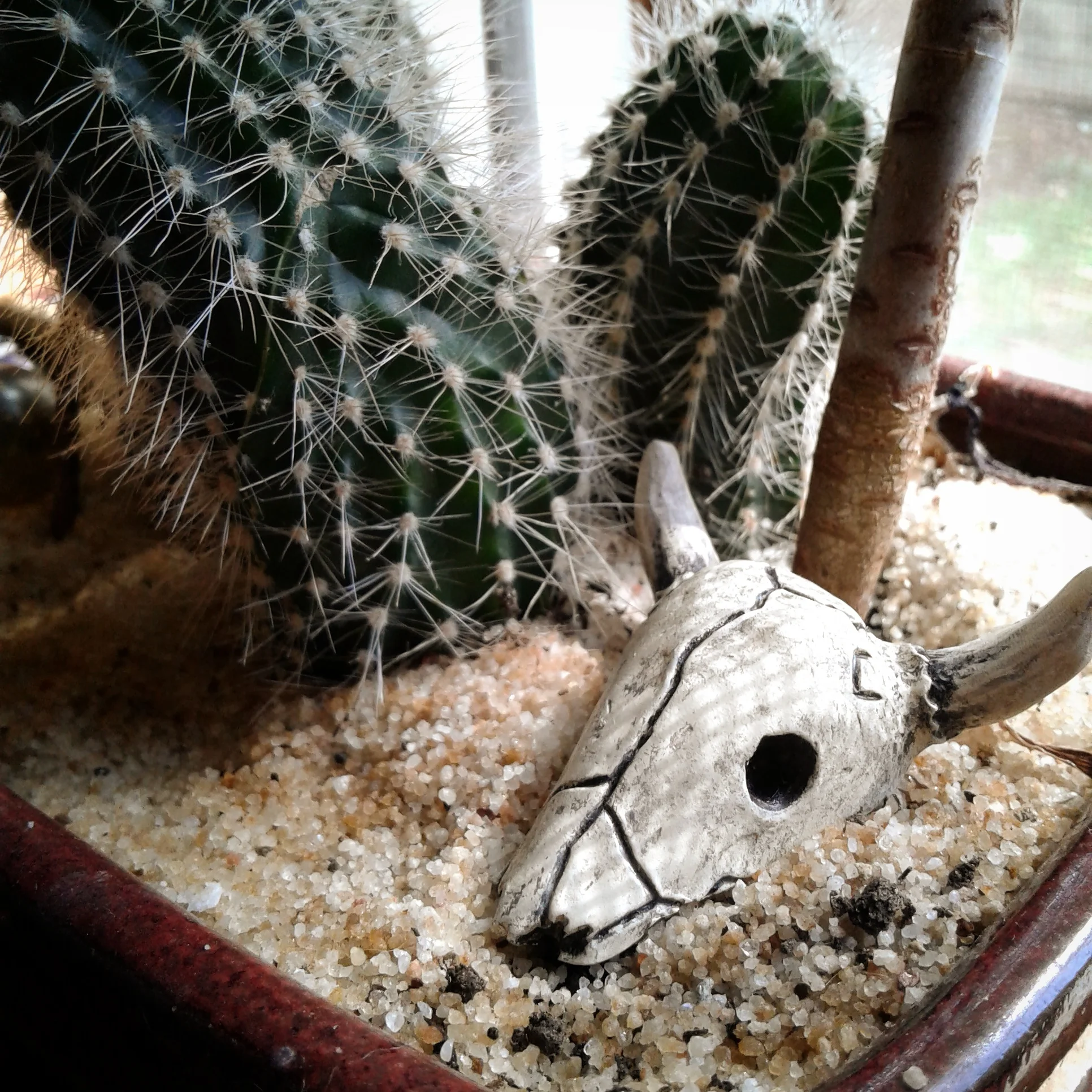 Cow Skull for personal window display, cast in plastic. (2016)