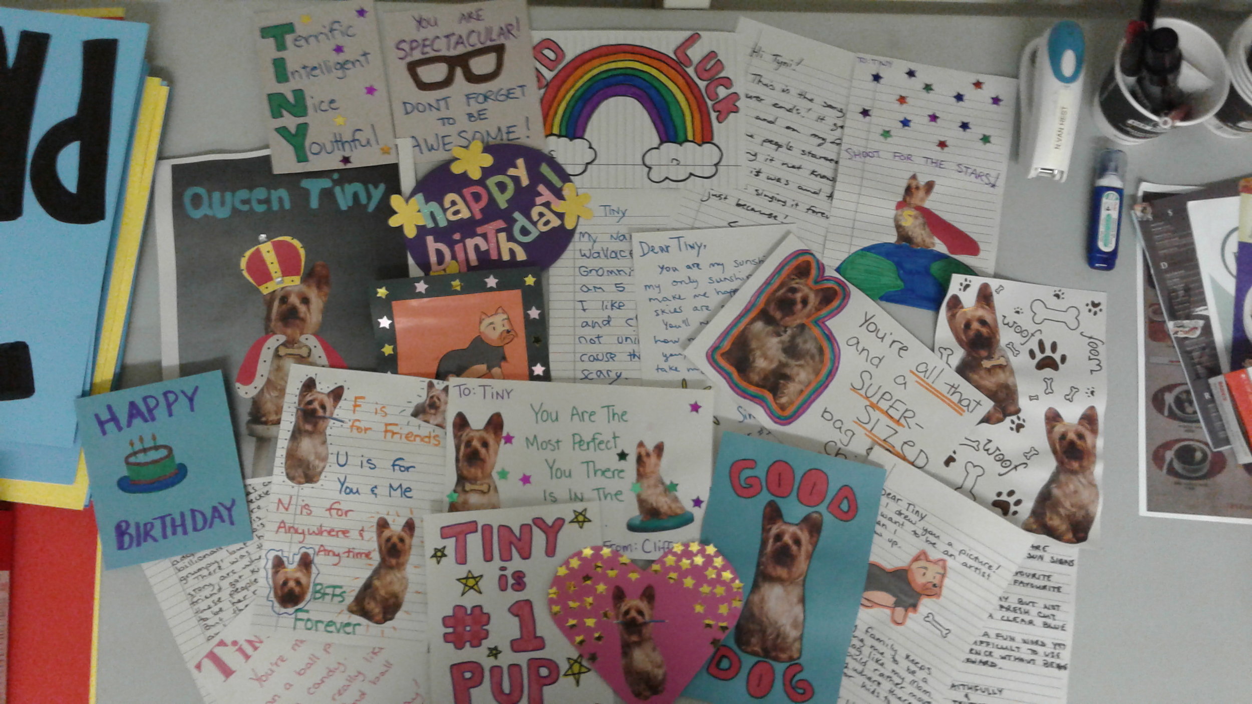  Fan Letters for Tiny (Pup Star 2;&nbsp;2016) 