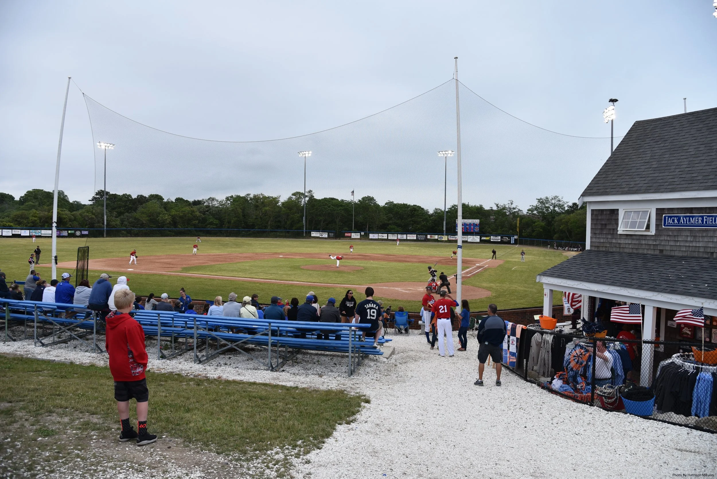 A New Weekly Column from Codball