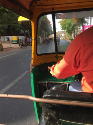Hold on tight for that rickshaw ride!