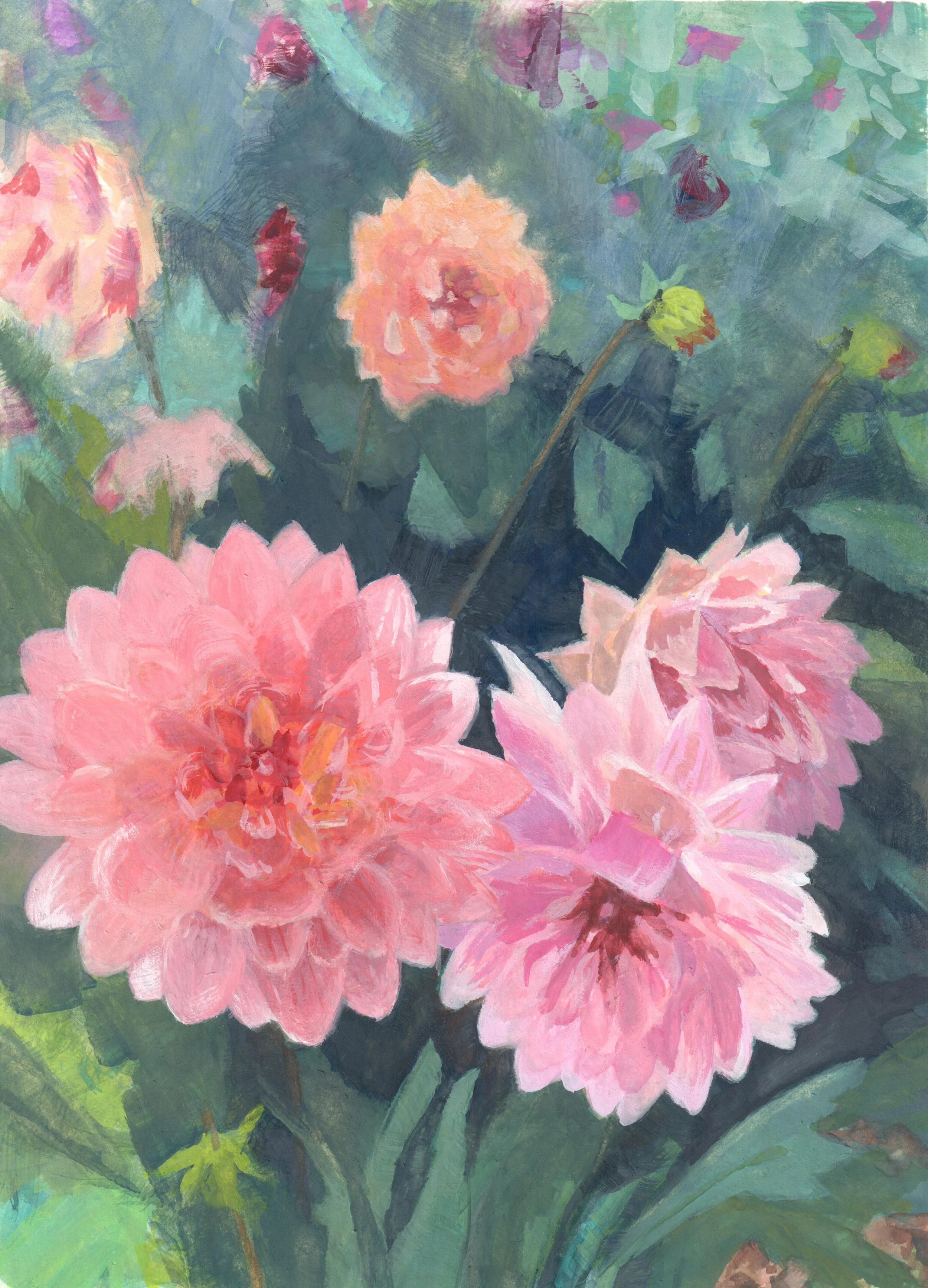Three Pink dahlias joined in the foreground above green foliage