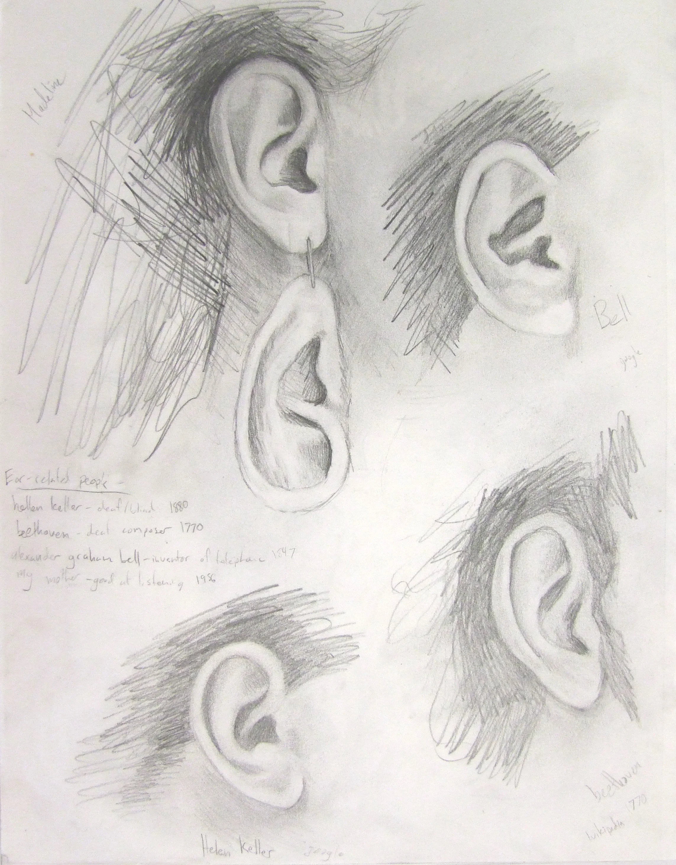 ear 16.jpg