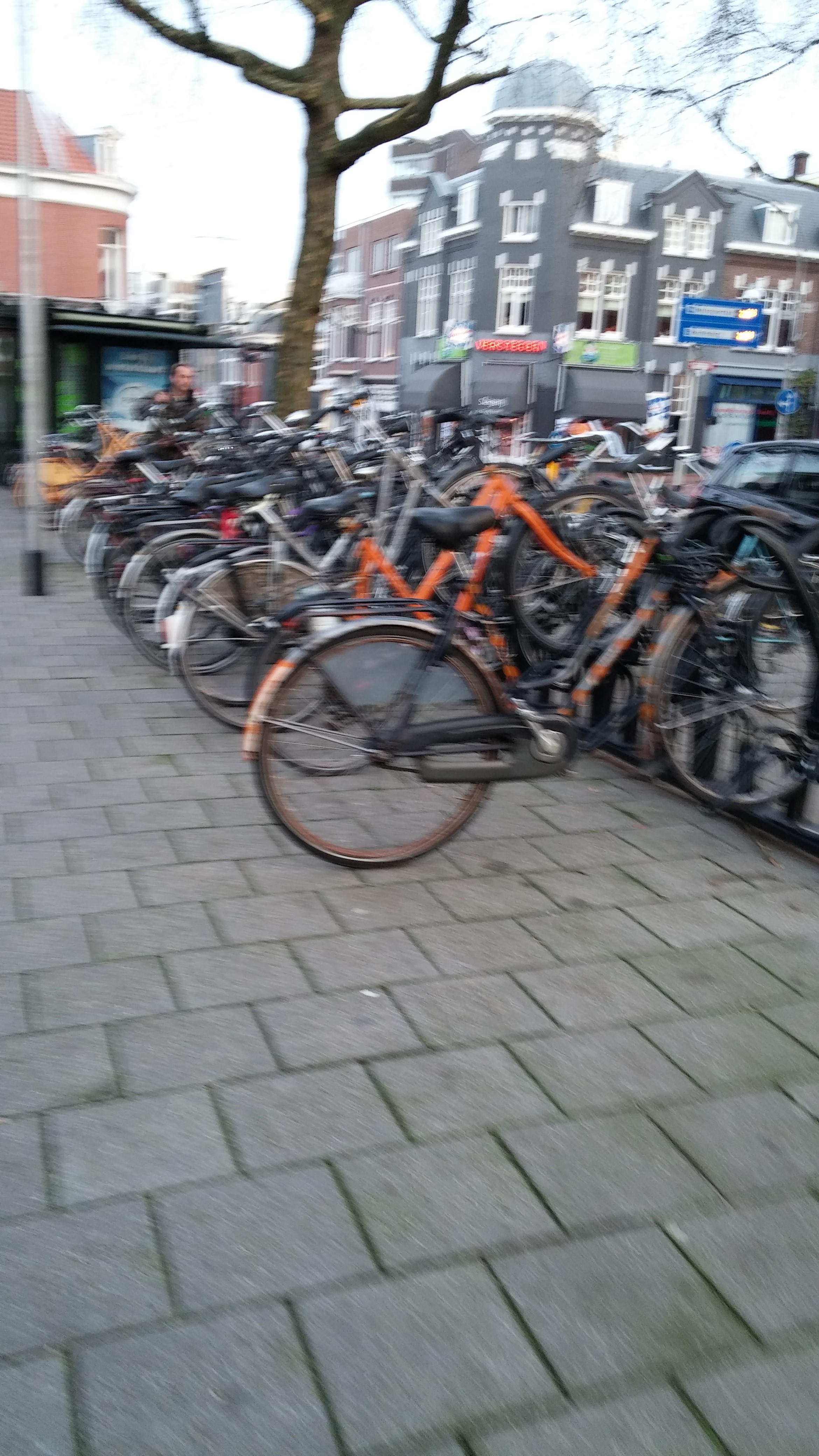Everyone here bicycles! (Sorry it's blurry)