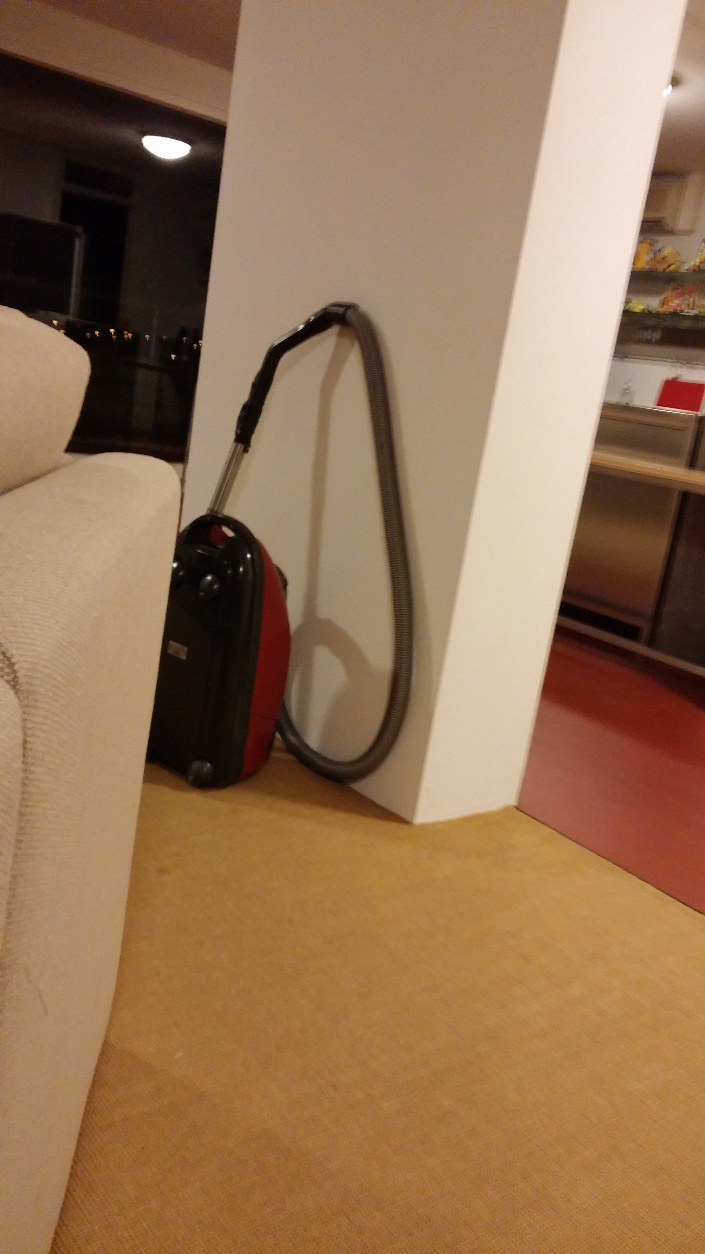 We vacuumed the apartment.