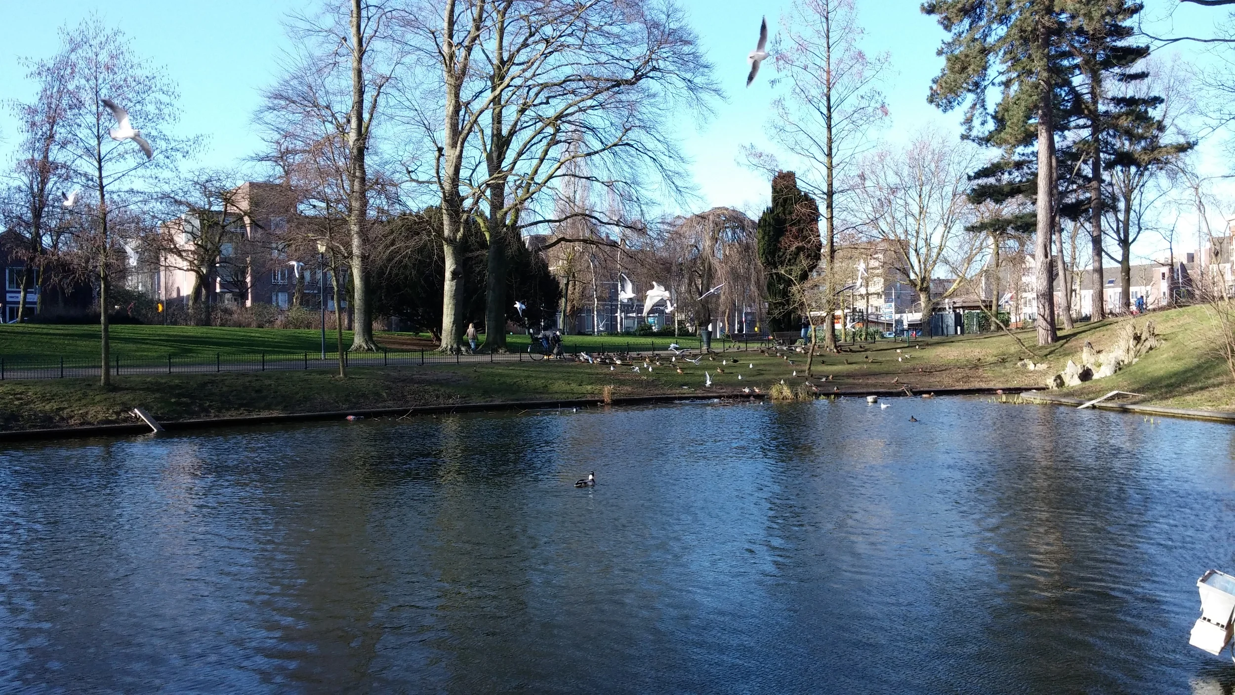 Kronenburger Park in Nijmegen